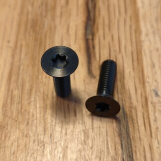 vis M6 x 20 mm faisée Tx30 Titane
